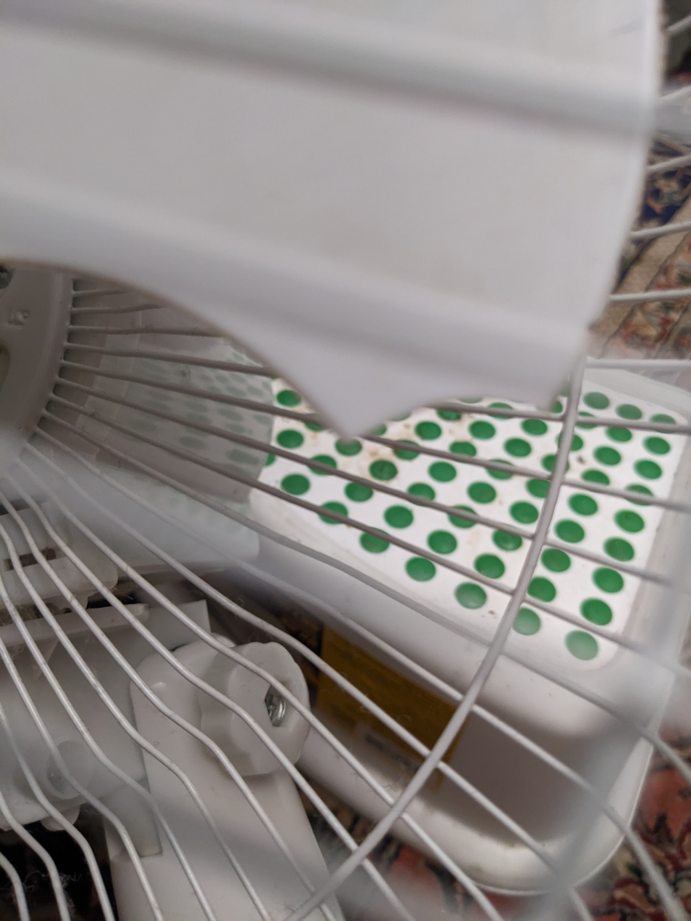 12" Intertek Table Fan image indicator(3)