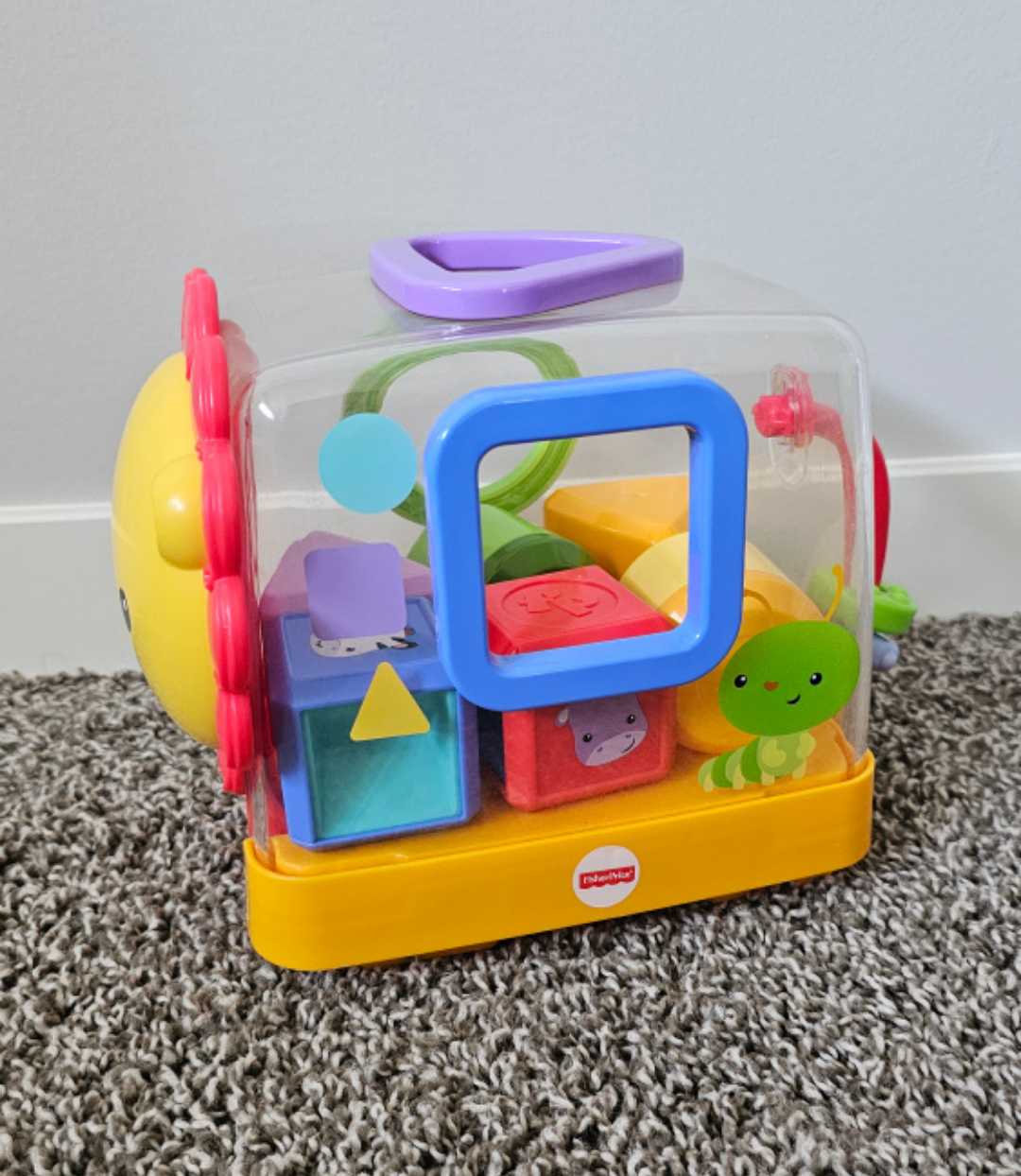 Shape sorter image indicator(2)