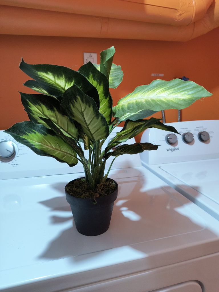 Artificial Plants image indicator(3)