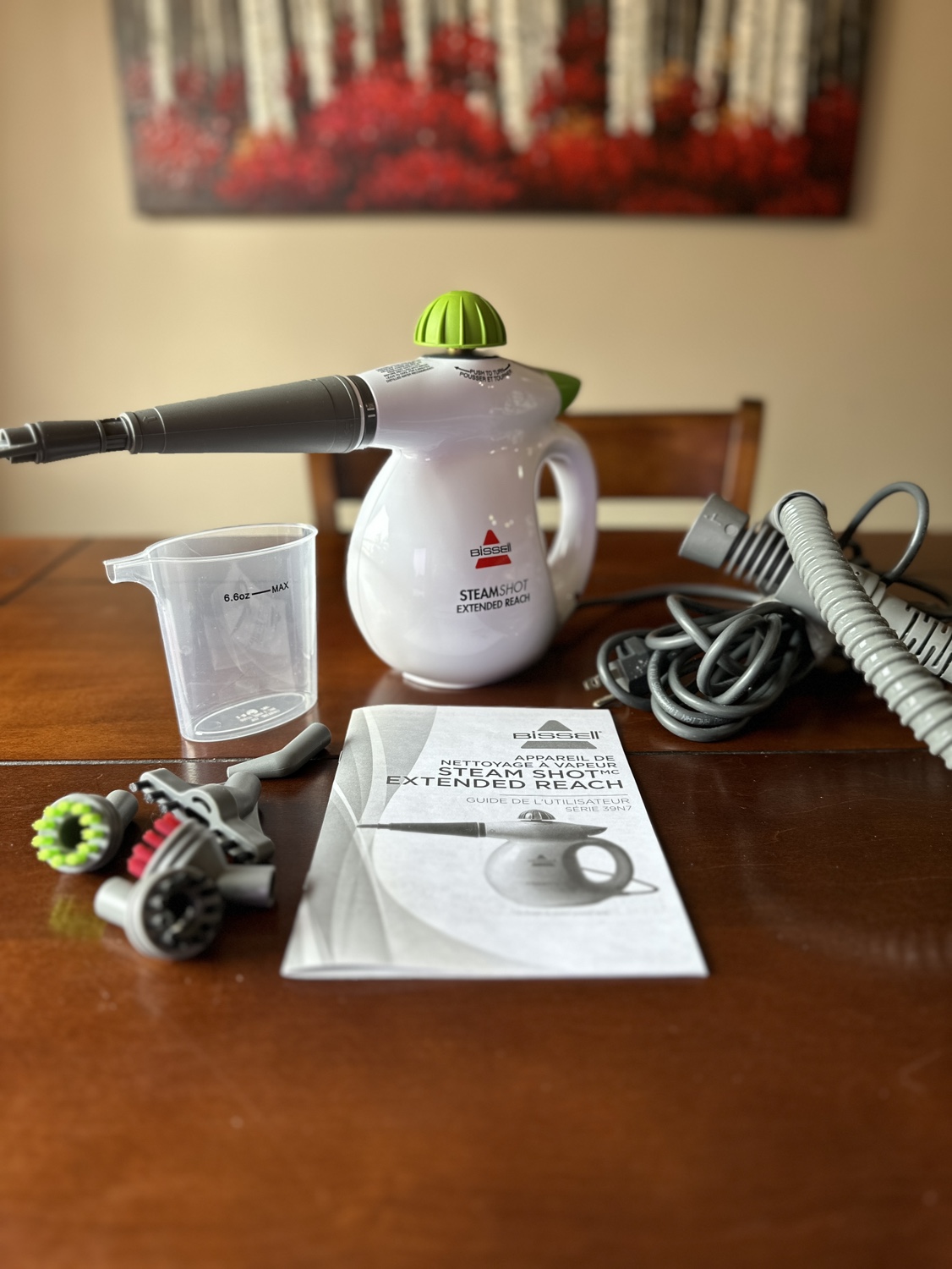 Bissell Steamer