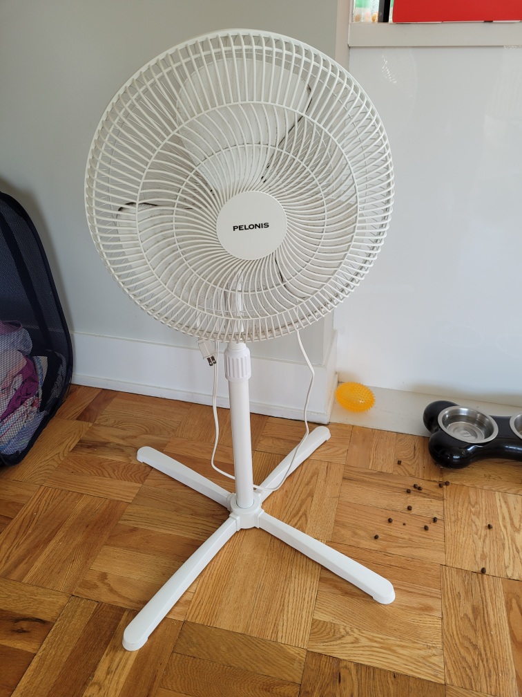 Floor fan (moving sale)