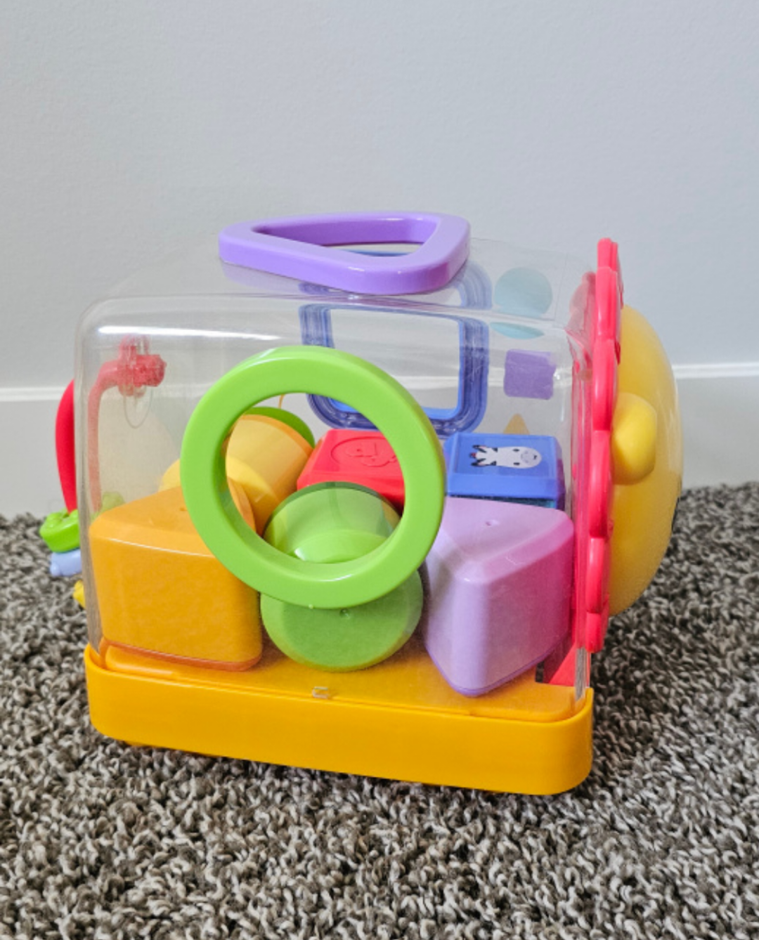 Shape sorter image indicator(3)