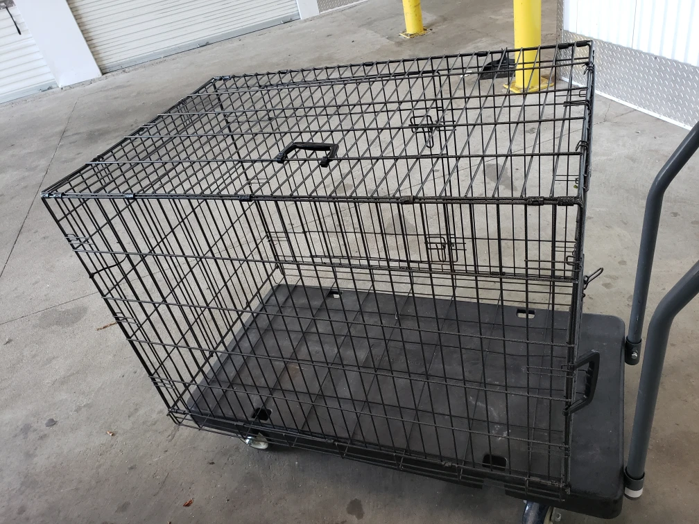dog case big - photo 2