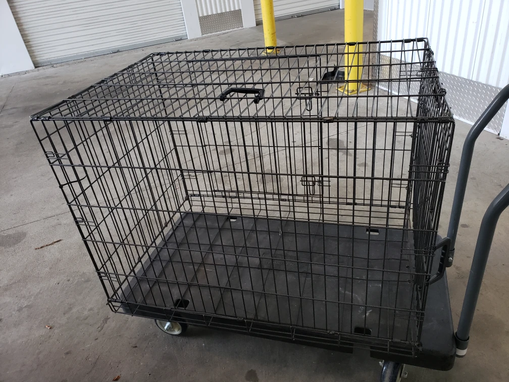 dog case big - photo 3