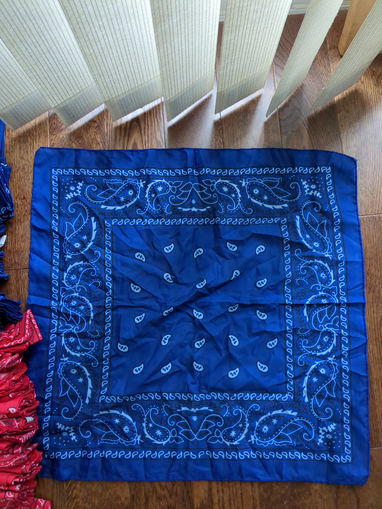 Red and Blue Bandanas - photo 3