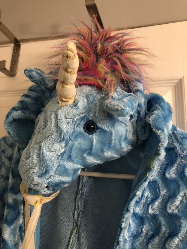 Unicorn Pegasus kids costume