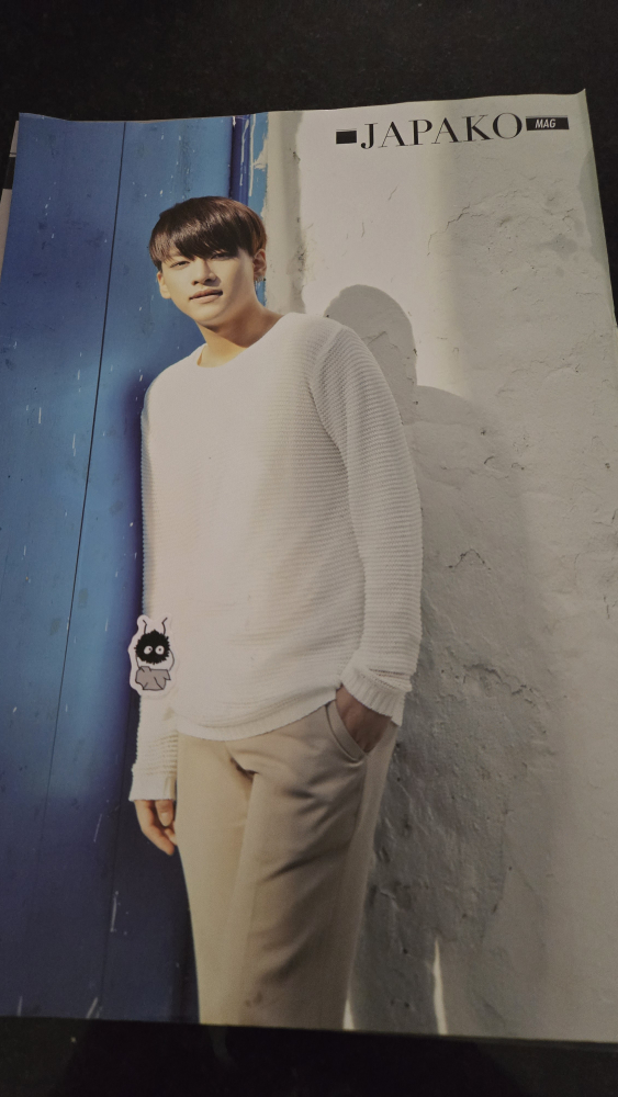 JAPAKO Magazine with 2 back to back posters #freecycle - photo 3