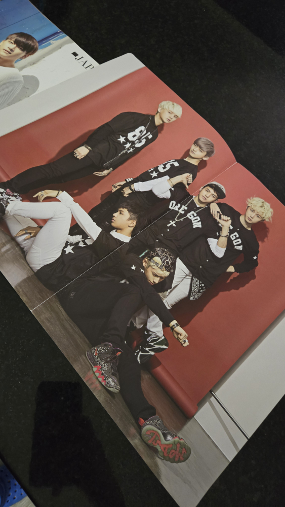 JAPAKO Magazine with 2 back to back posters #freecycle - photo 4