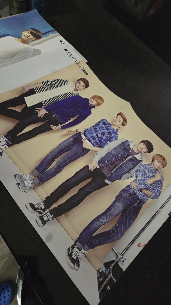 JAPAKO Magazine with 2 back to back posters #freecycle - photo 5