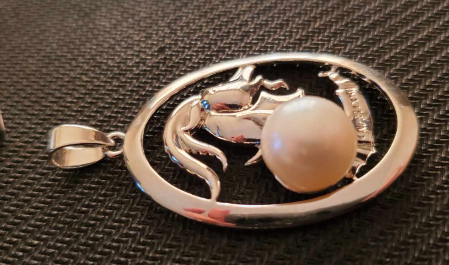 Zodiac sign pendant image indicator(2)