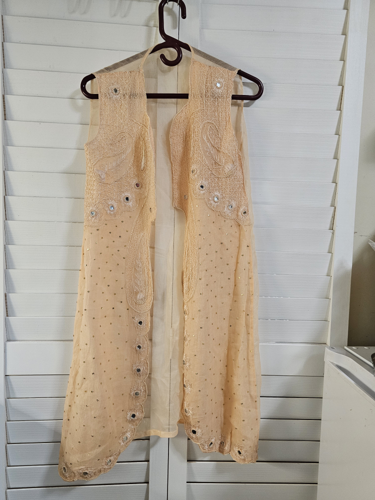 Women's delicated Indian dress