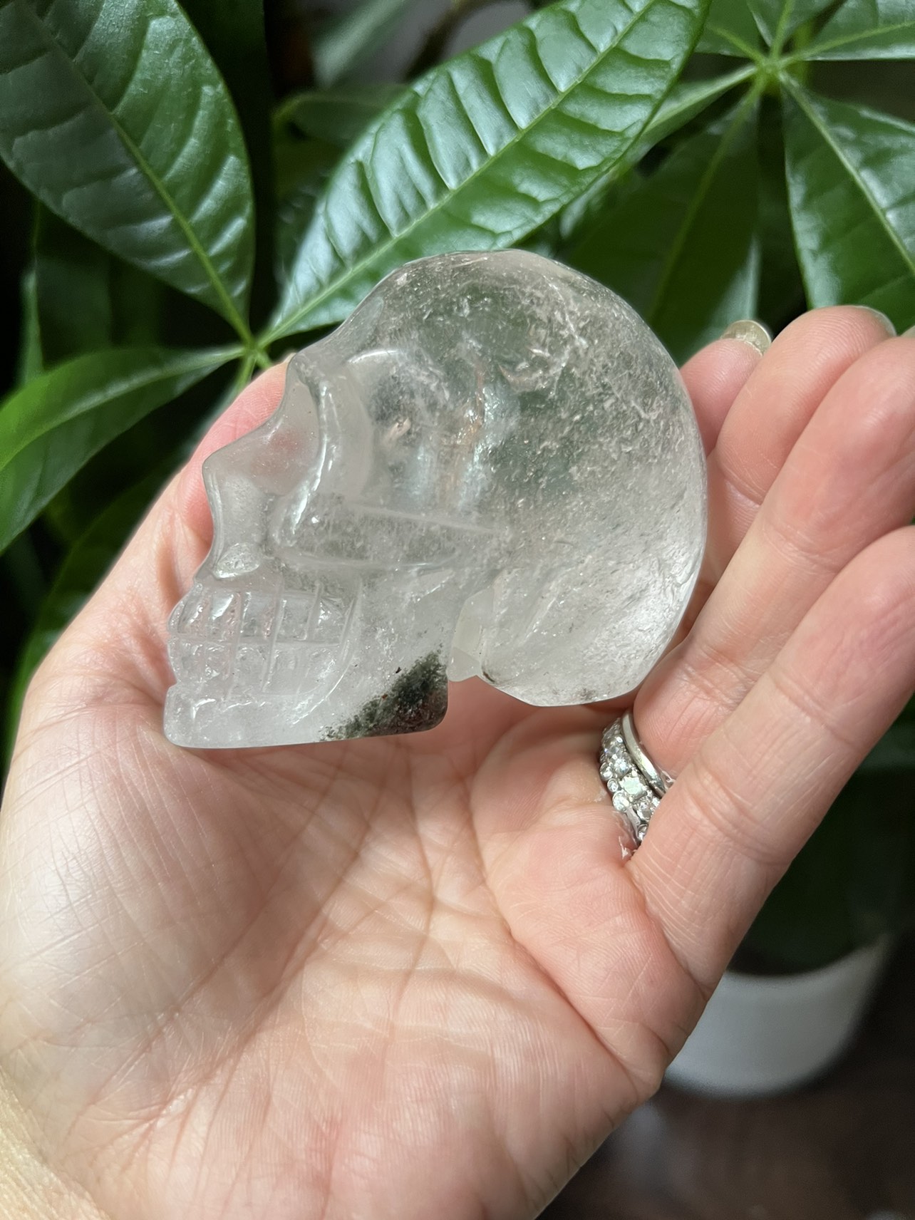 Garden Court skull carving (b) | crystal - photo 2