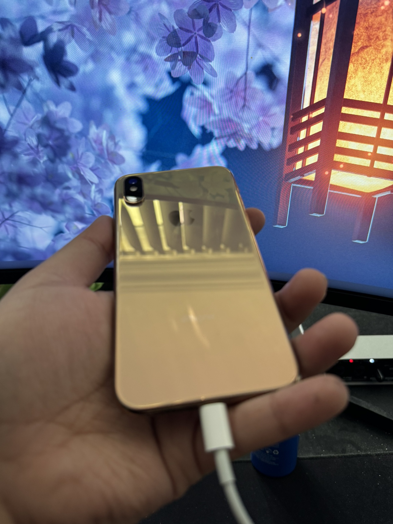 iPhone XS - 512 gb