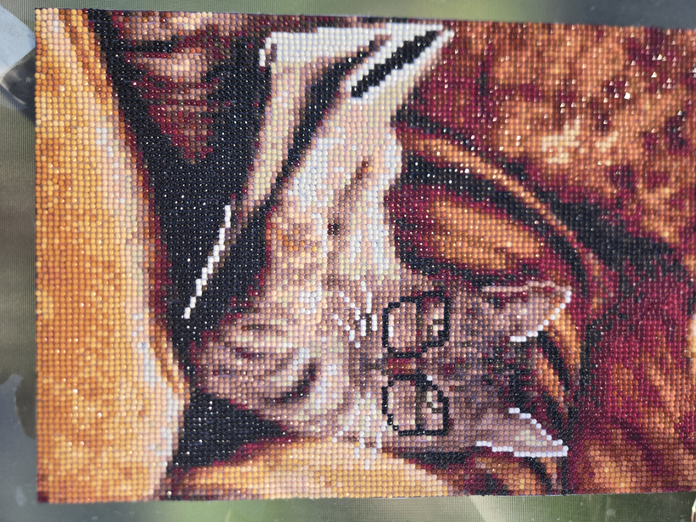 cat with glasses diamond painting image indicator(2)