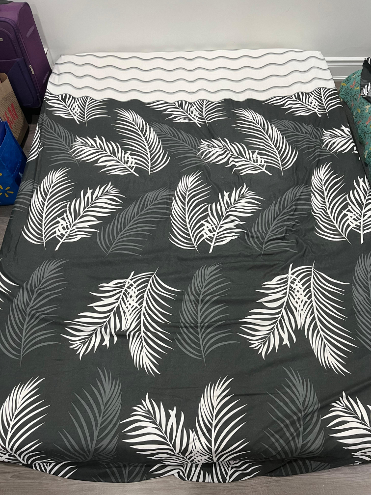 Queen Size mattress And box spring for Sale image indicator(7)