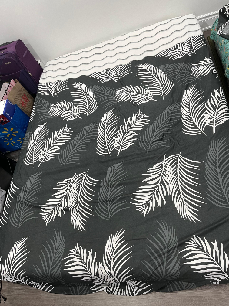 Queen Size mattress And box spring for Sale image indicator(8)