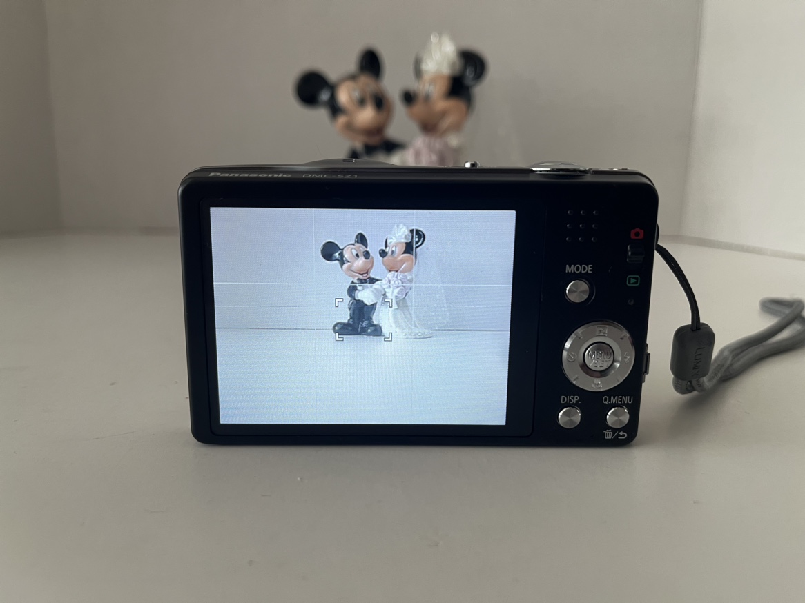 📷 Panasonic Lumix DMC-SZ1 16.1 MP Digital Camera 📷 - photo 4