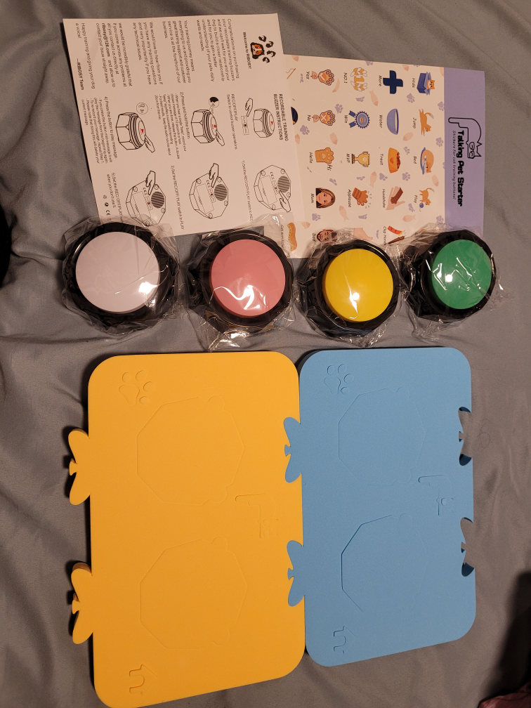Dog buttons training words (moving sale)