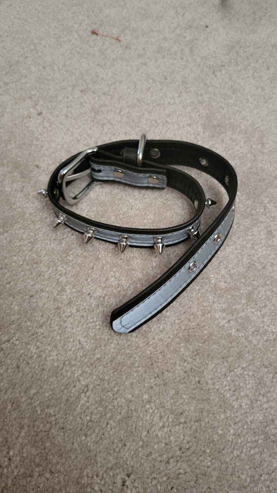 Dog Leash⚽️ - photo 2