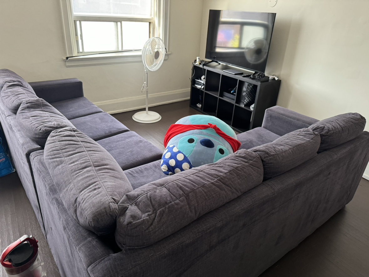 L couch , pet free and steam cleaned