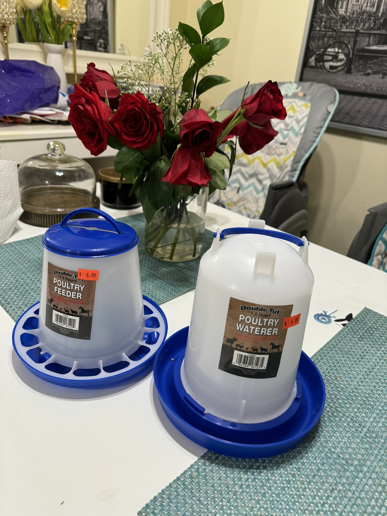 Bird waterer and feeder