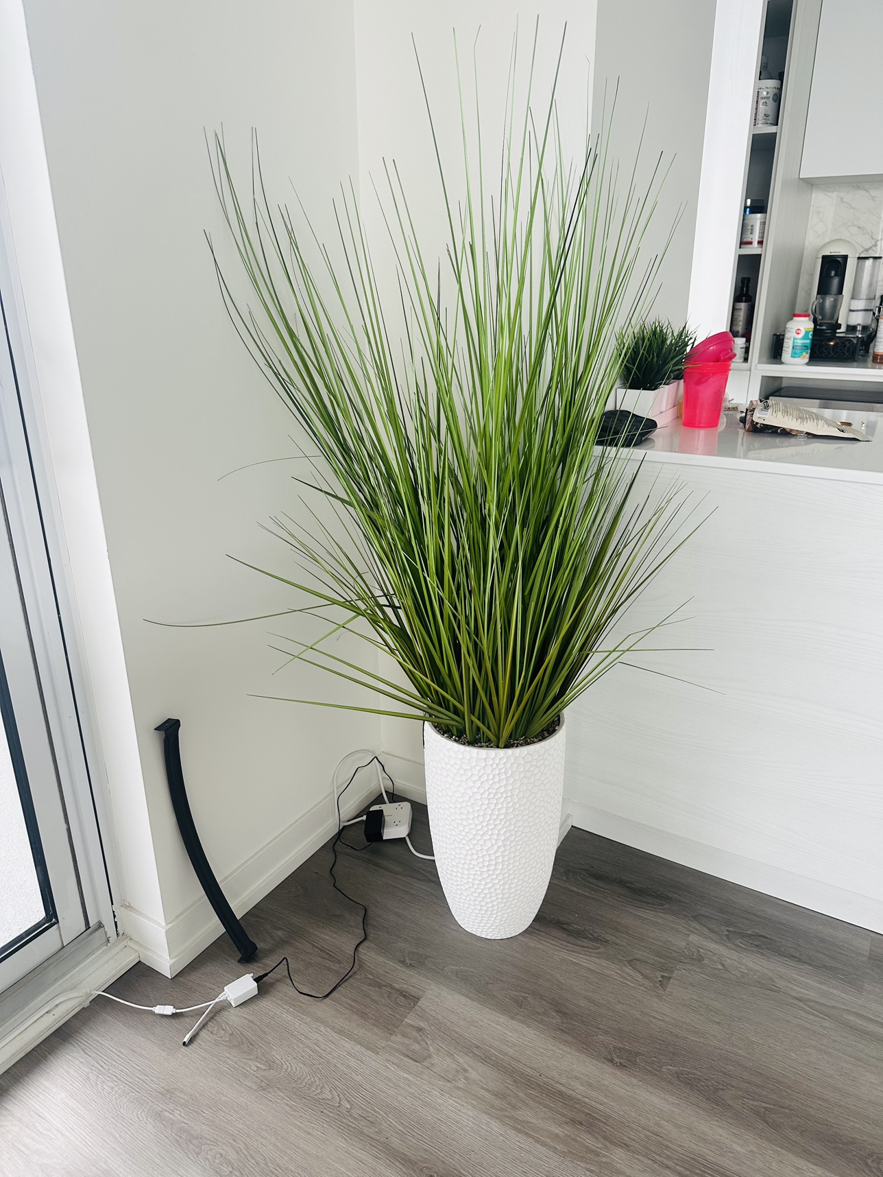 Fake plant, with tags on