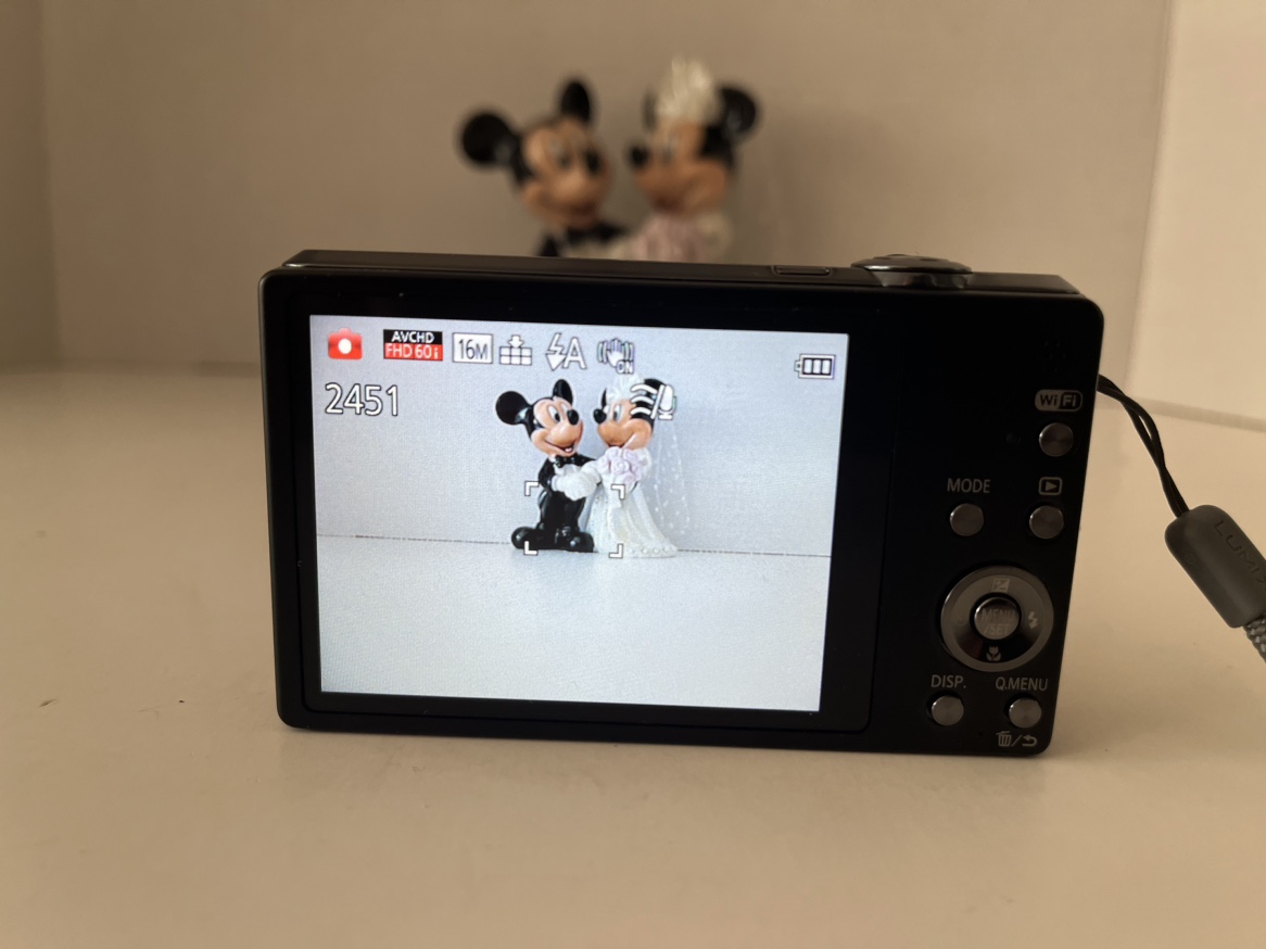 📷 Panasonic Lumix DMC-SZ9 Digital Camera - 16.1 MP mp - photo 4