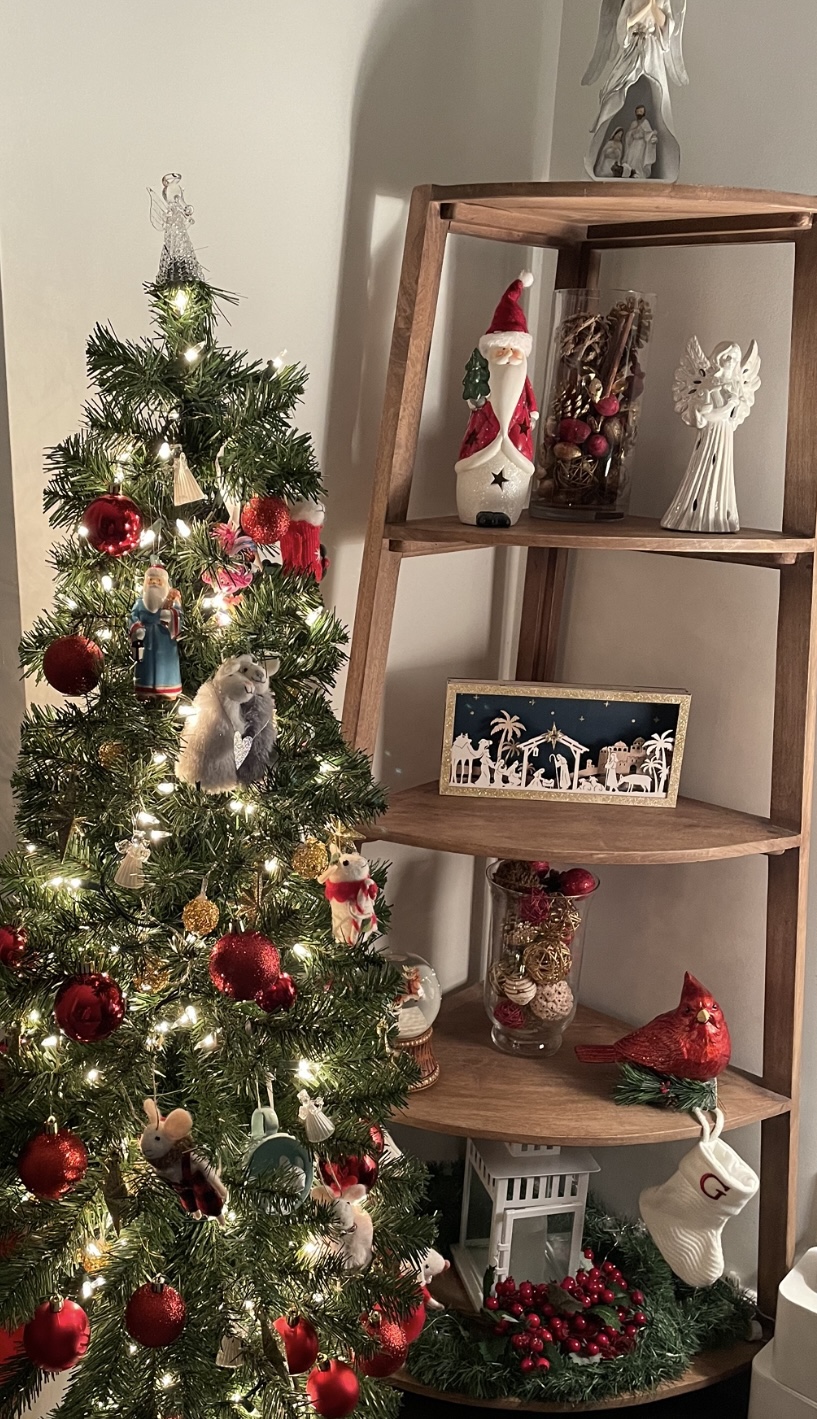 BRAND NEW CORNER SHELF