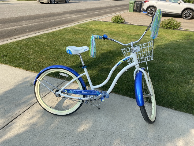 Cruiser Bike