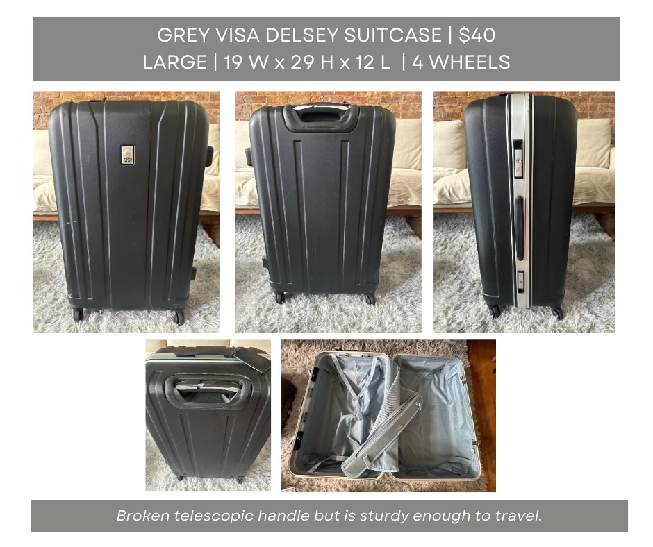 Gray Visa Delsey Suitcase