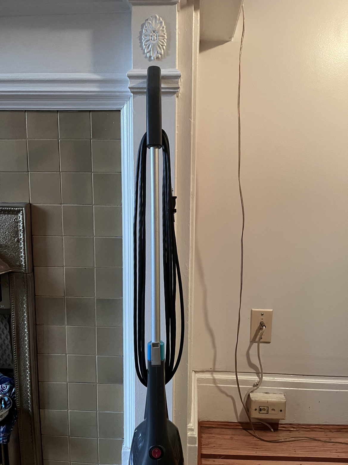 Free Bissel Vacuum - photo 2