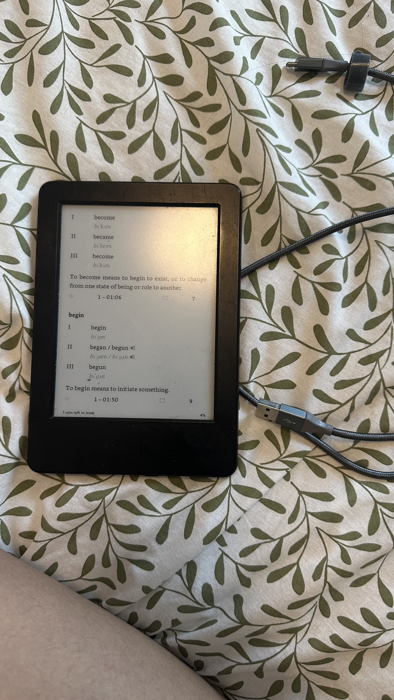 Kindle - photo 2