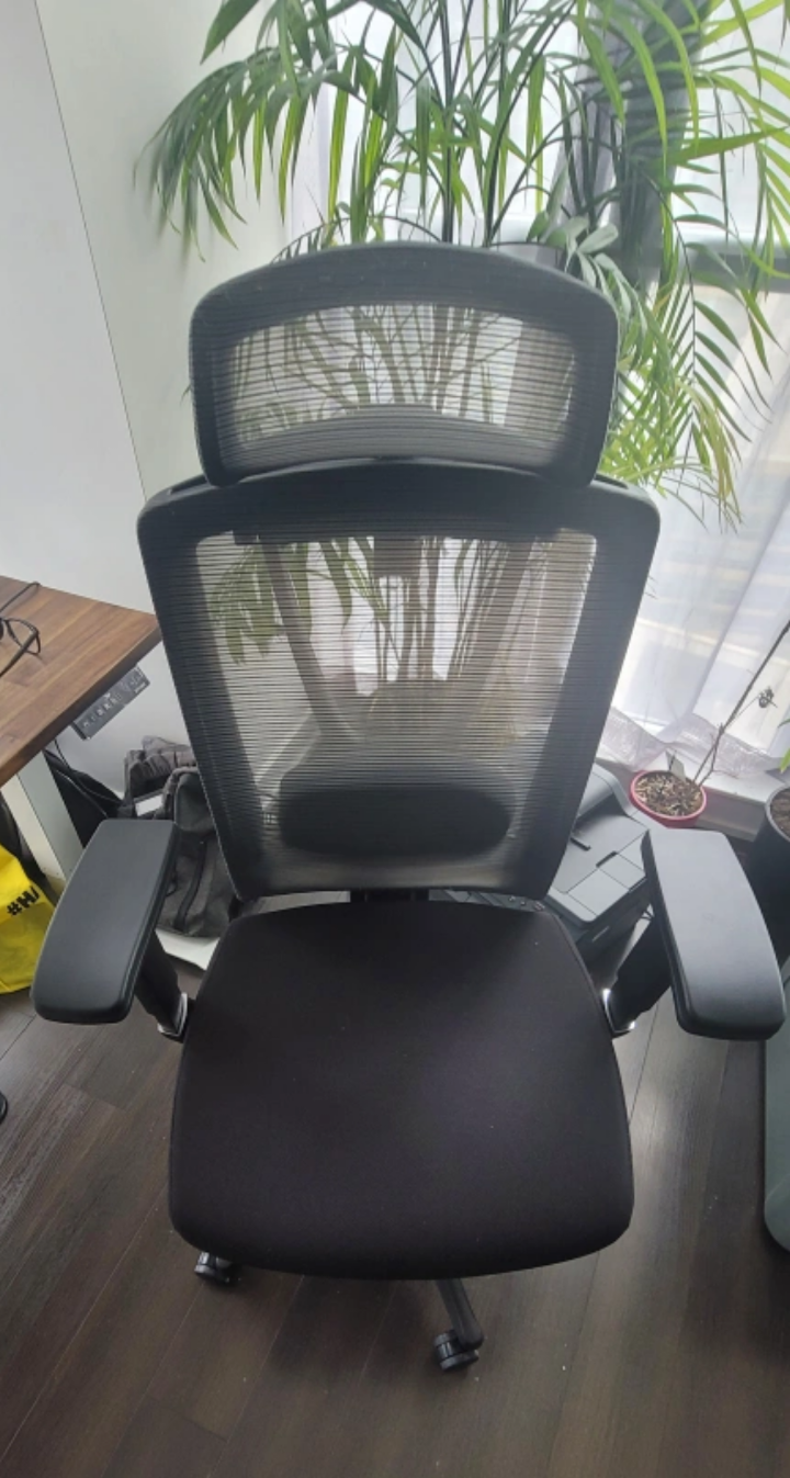 Ergonomic Chair - Black - photo 2