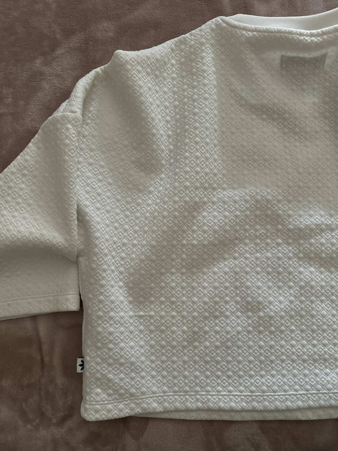 Adidas crop top image indicator(5)