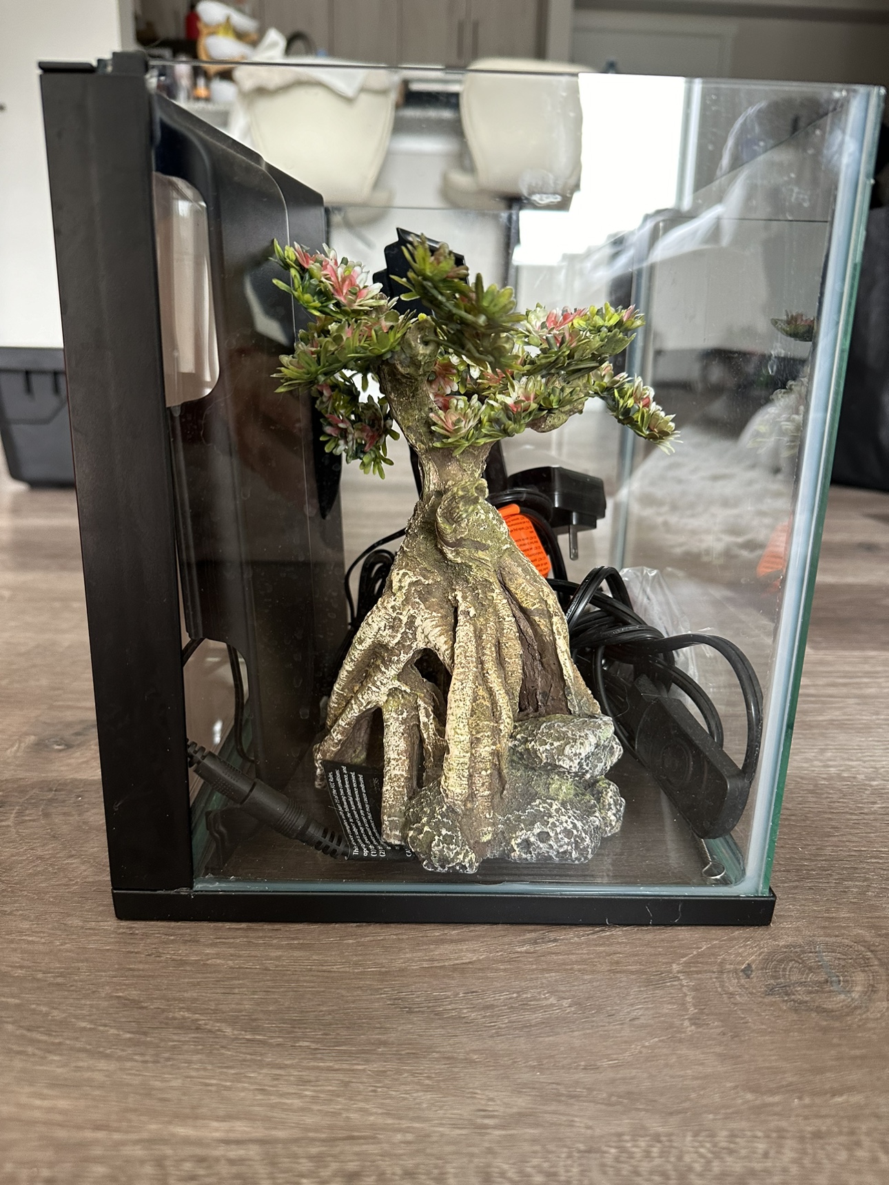 Beta fish tank (LED)