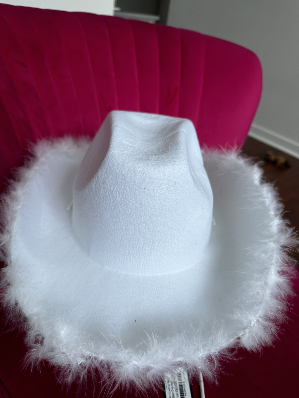Cowboy hat