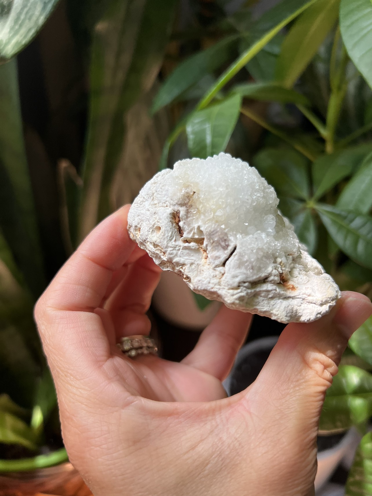 Clear quartz specimen (d) | crystal image indicator(8)