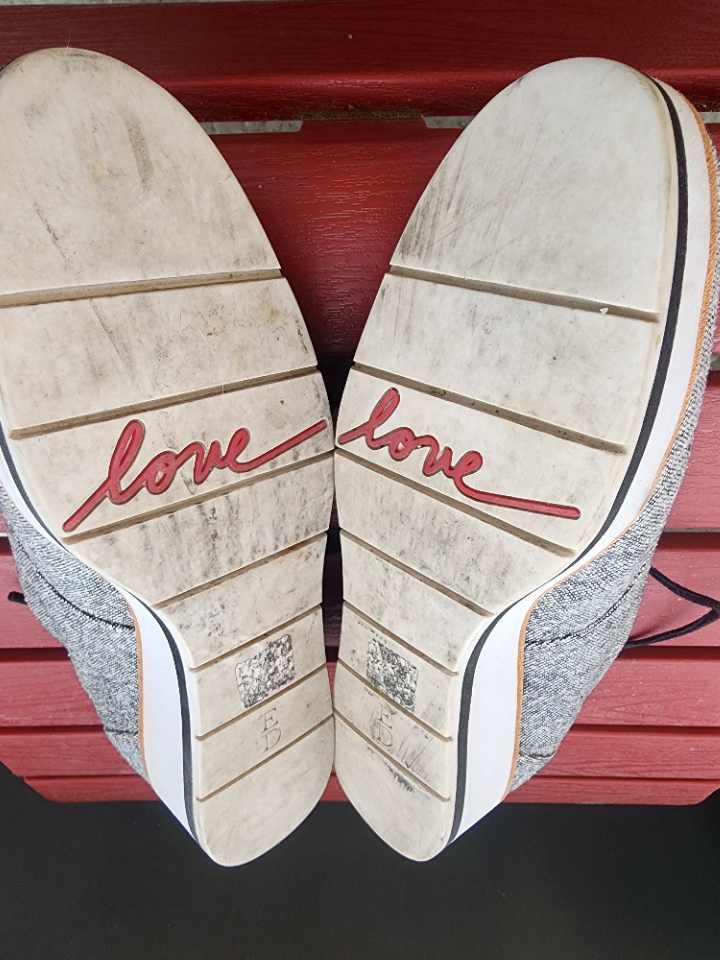 Womens Ellen Degeneres Shoes image indicator(5)