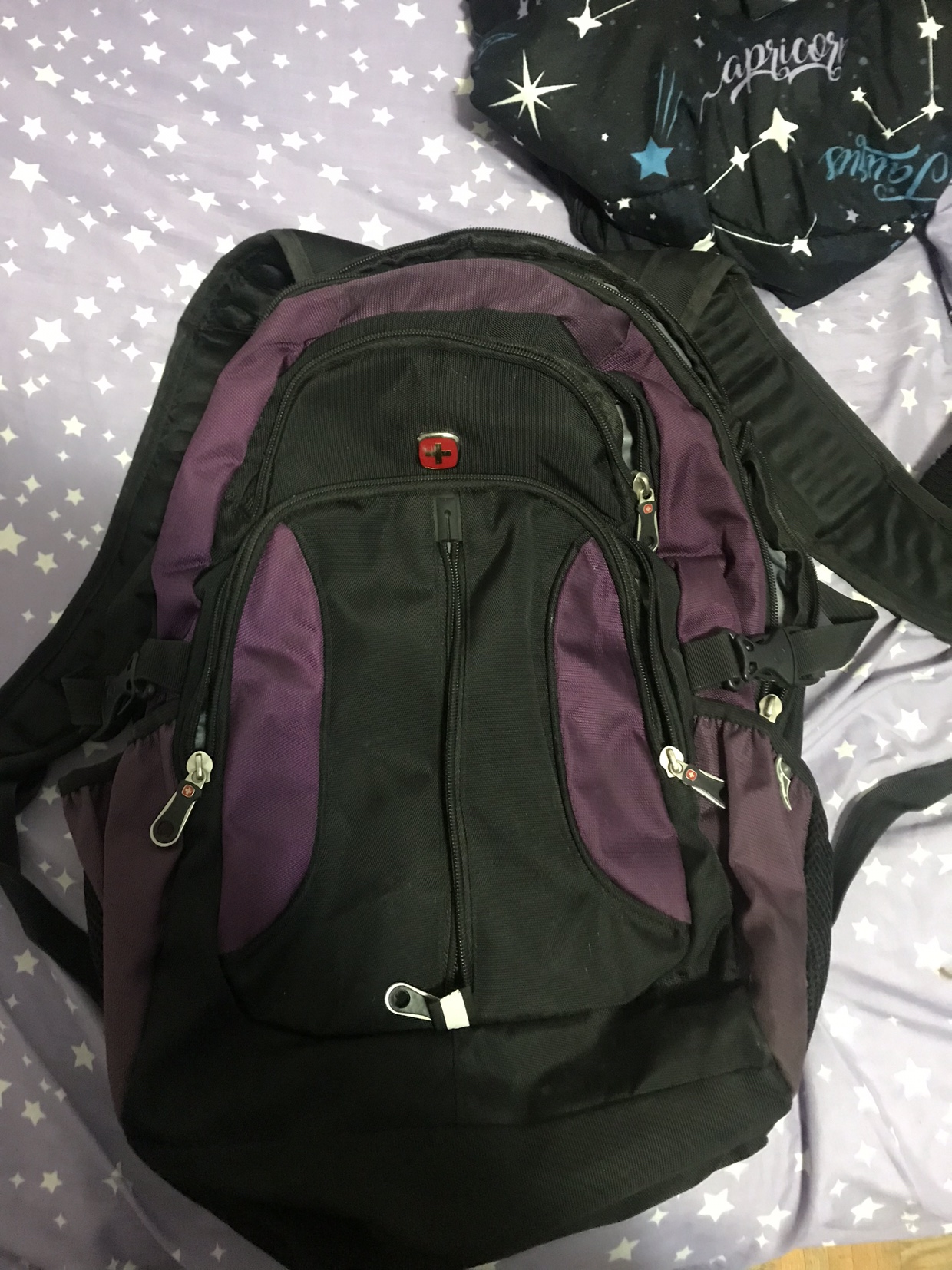 New Purple bag pack