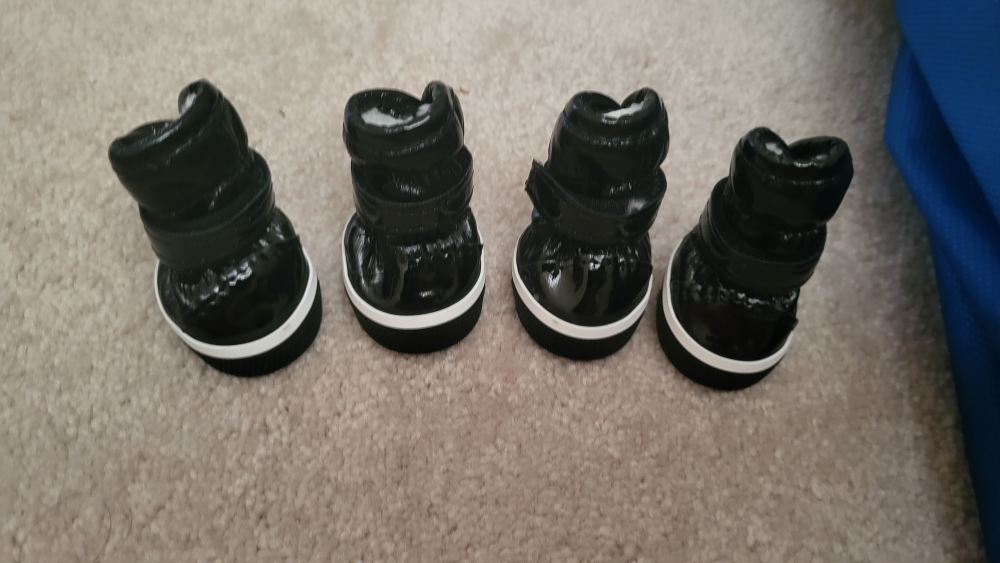 Newborn dog Shoes⚽️