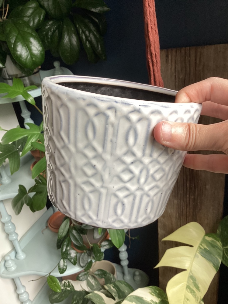 Collection of Plant Pots image indicator(6)