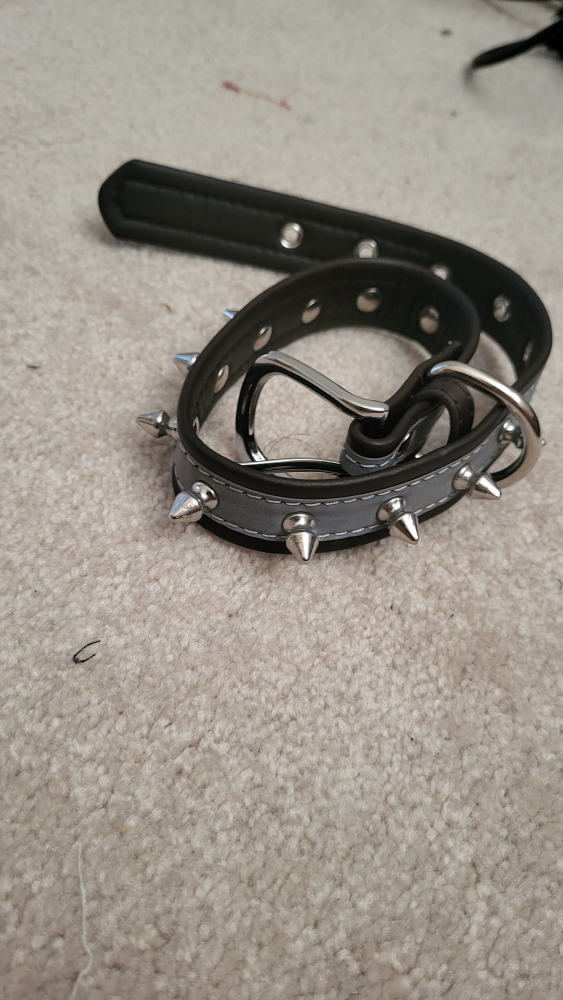 Dog Leash⚽️