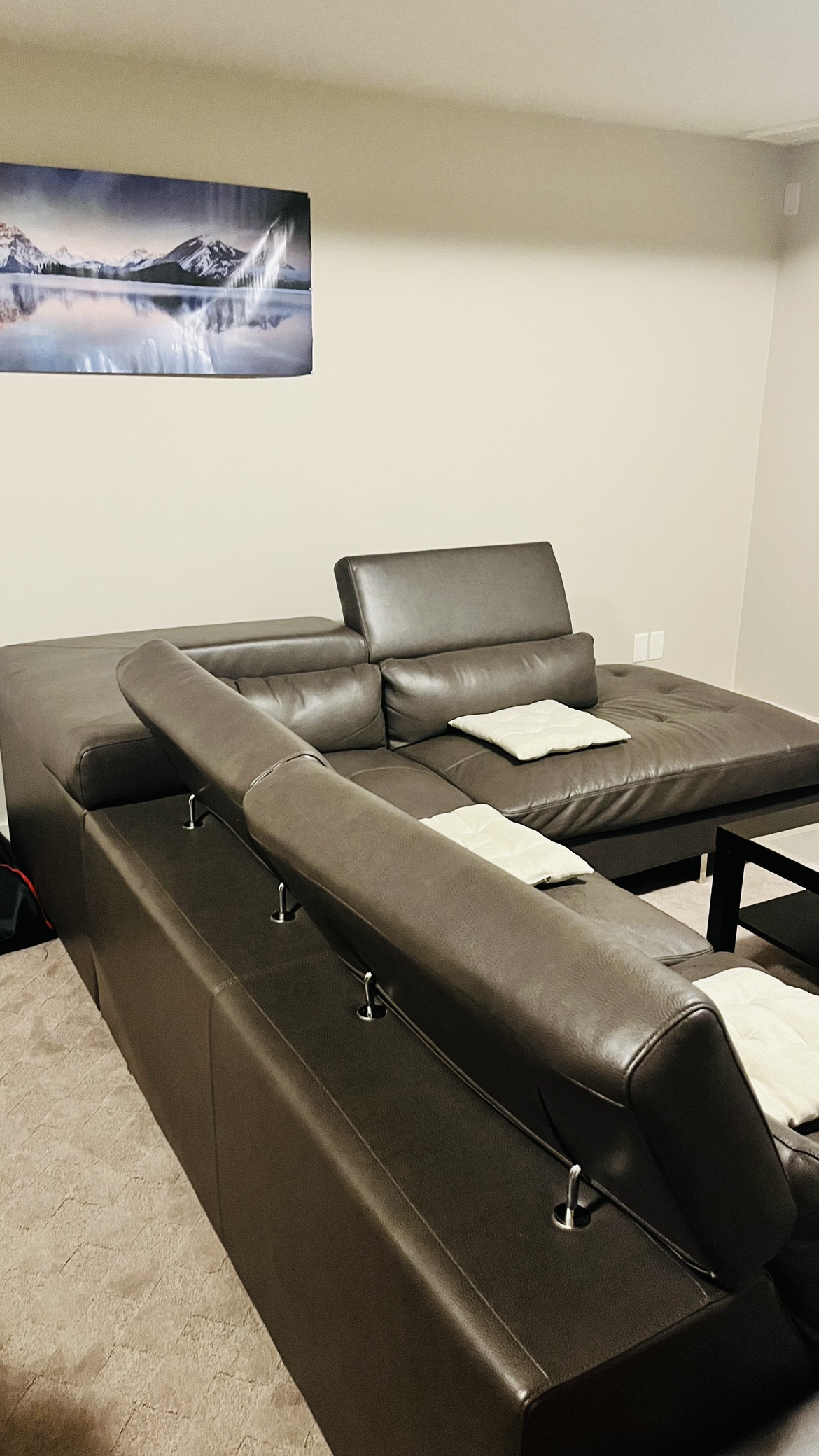 Pure Leather Sectional Couch - photo 3