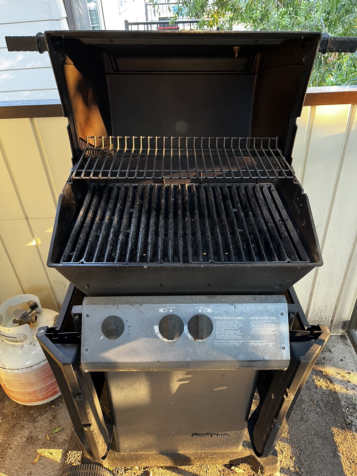 Free BBQ - photo 2