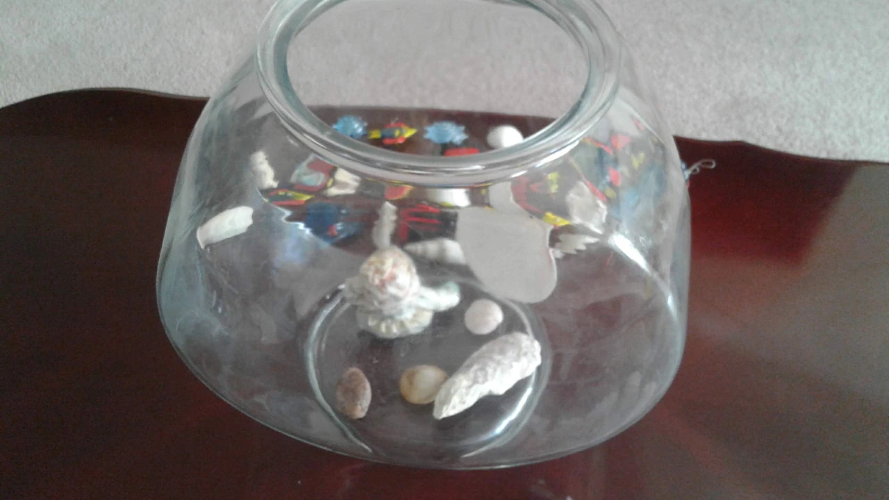 ⚽Oval/Round Fish Bowl Or Planter image indicator(7)