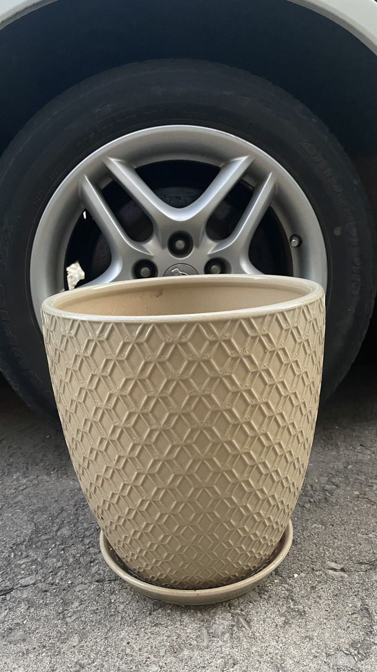 Ceramic big pot