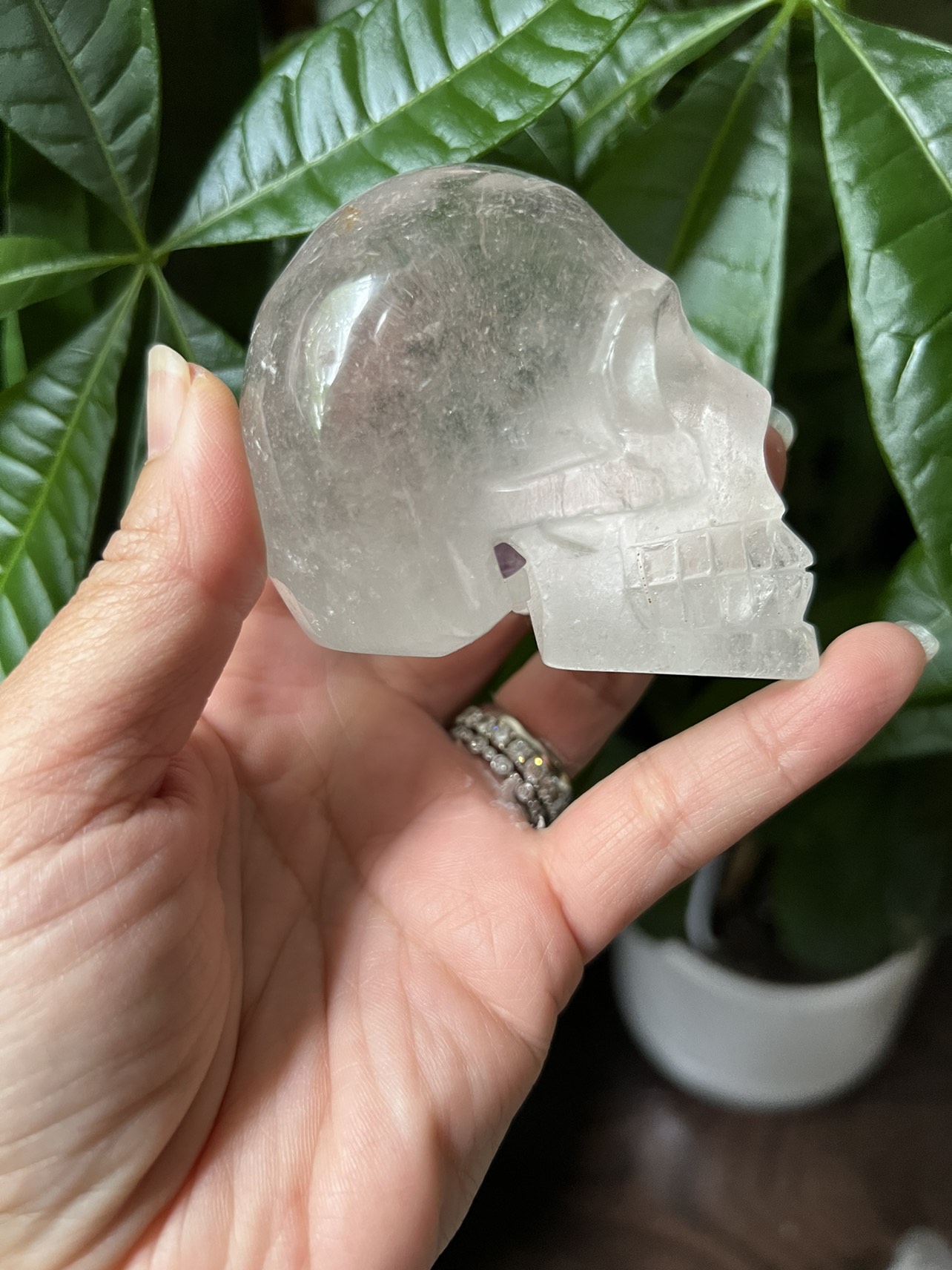 Garden Court skull carving (b) | crystal - photo 4