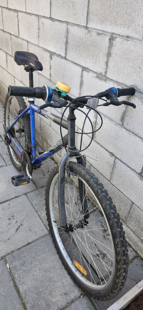 Adult Supercycle Bike - photo 5