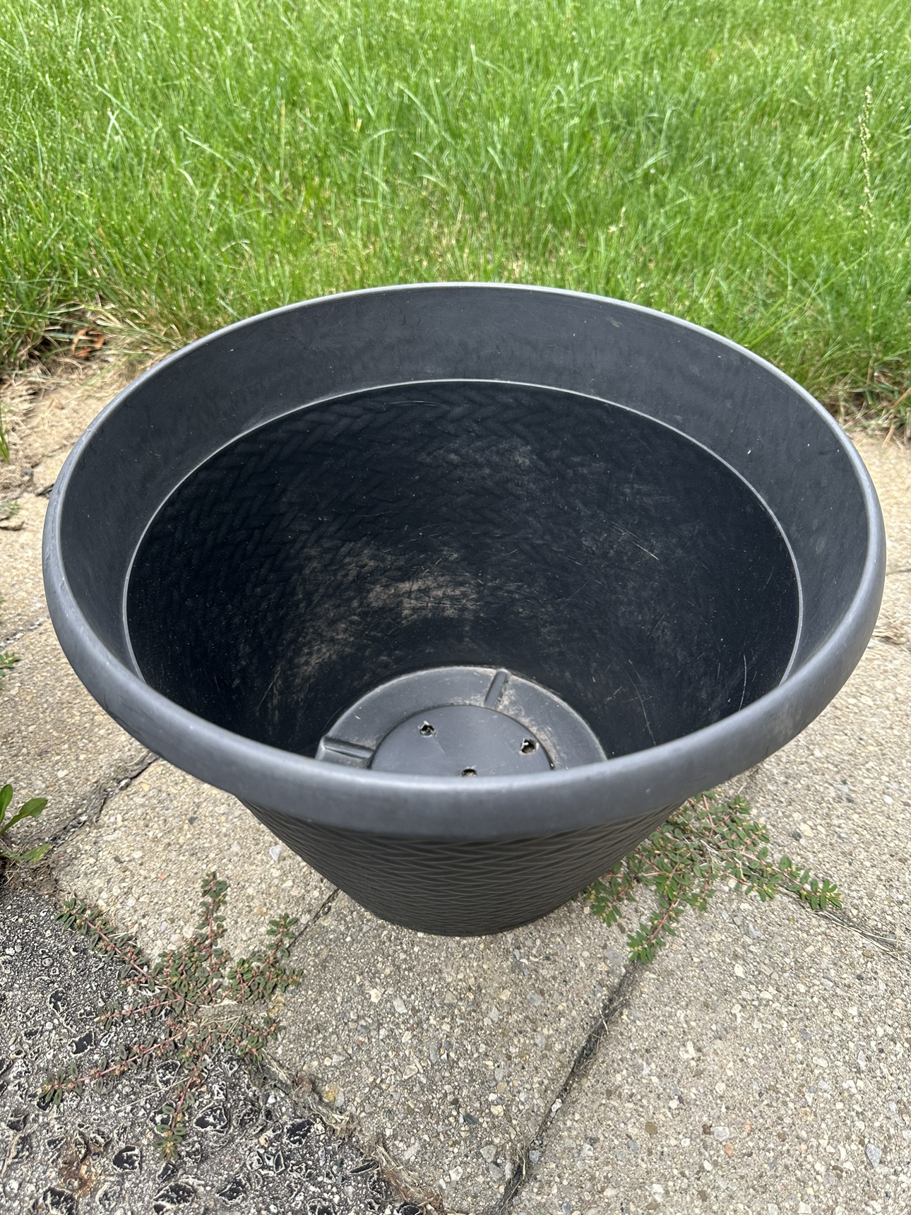 Garden Pots - photo 4
