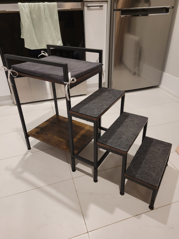 Pet window perch with stairs